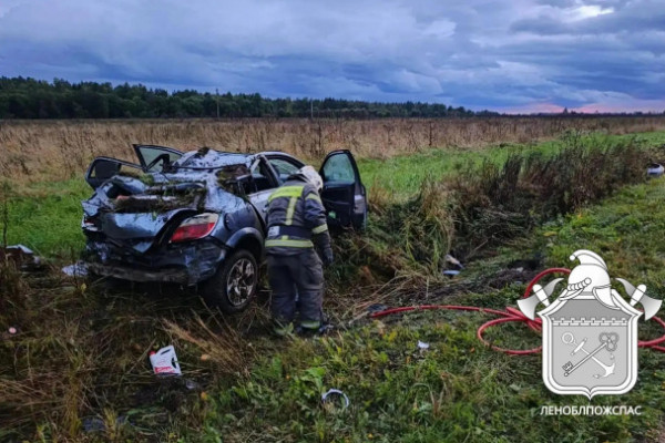 Водитель &laquo;Опеля&raquo; подхватил на дороге подростков перед смертельным ДТП в Волосовском районе - фото аварии