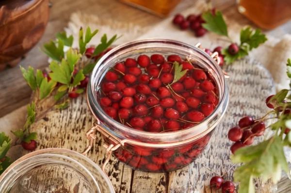 
        Боярышник высокой кухни. Топ-3 заготовок, которые удивят гурманов    