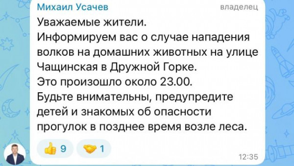 В Ленобласти волки напали на поселок в 40 км от Гатчины В Ленобласти волки напали на поселок в 40 км от Гатчины
