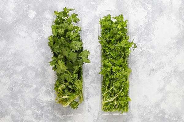 
        Невечная мерзлота. Сколько хранятся разные продукты в морозилке    