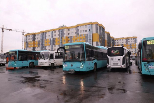 В Янино запустили новый маршрут до метро с большими автобусами В Янино запустили новый маршрут до метро с большими автобусами