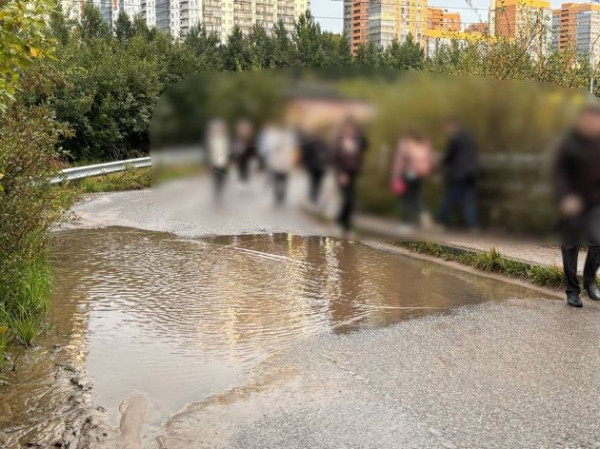 "Земля не наша". Жителям Мурино ответили, почему дорога от метро такая неухоженная и темная