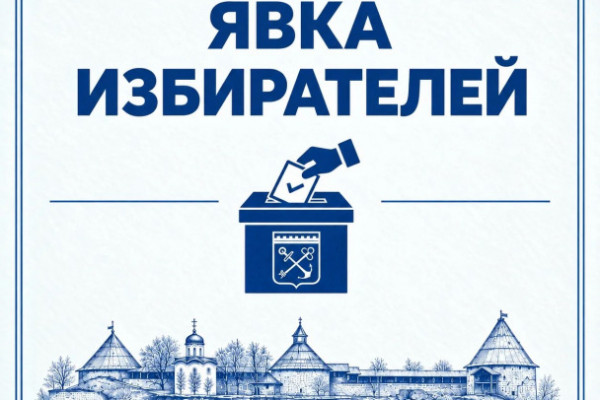 Дали 50+. Явка на выборах в Ленобласти на полдень Дали 50+. Явка на выборах в Ленобласти на полдень