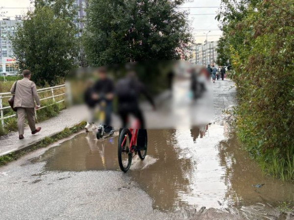 "Земля не наша". Жителям Мурино ответили, почему дорога от метро такая неухоженная и темная