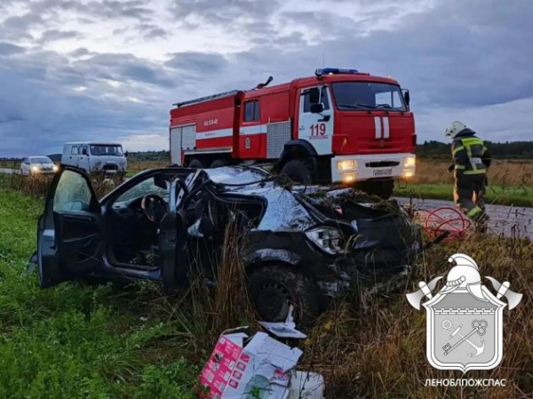 Водитель &laquo;Опеля&raquo; подхватил на дороге подростков перед смертельным ДТП в Волосовском районе - фото аварии