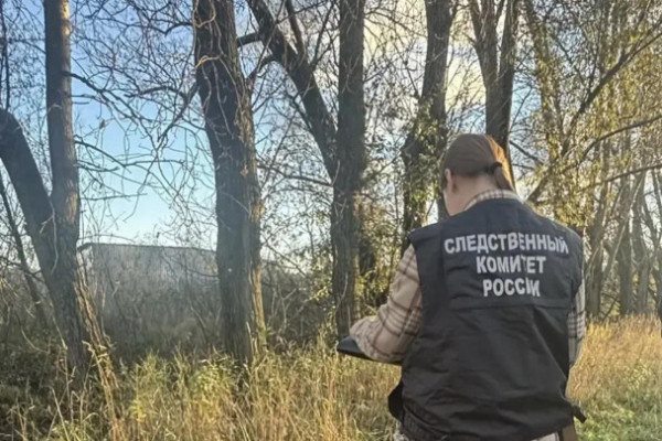 Стало известно, чьи части тела нашли в пакетах на юго-западе Петербурга Стало известно, чьи части тела нашли в пакетах на юго-западе Петербурга