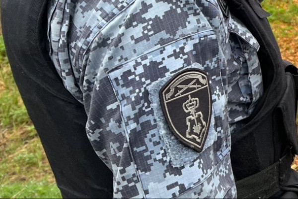 В Пушкине охотница за последними грибами сломала ногу и не смогла выбраться из рва В Пушкине охотница за последними грибами сломала ногу и не смогла выбраться из рва