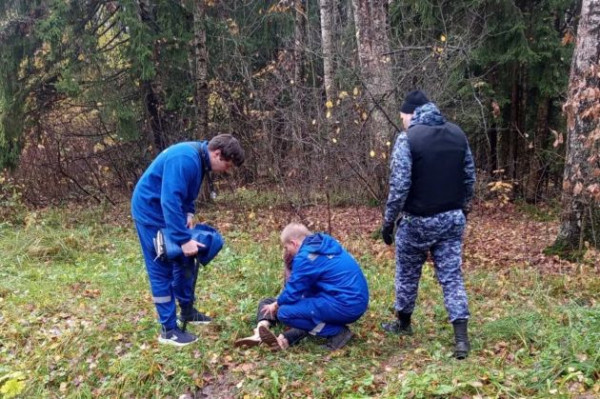 В Пушкине охотница за последними грибами сломала ногу и не смогла выбраться из рва В Пушкине охотница за последними грибами сломала ногу и не смогла выбраться из рва