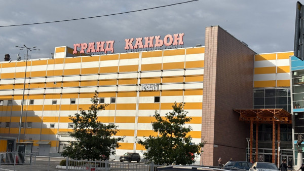 Куда сходить с ребёнком 7&ndash;8 лет: 10 меств Петербурге, где будет интересно и детям, и взрослым